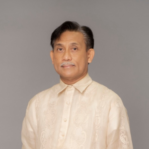 Read more about the article Hon. Henry S. Bensurto, Jr.